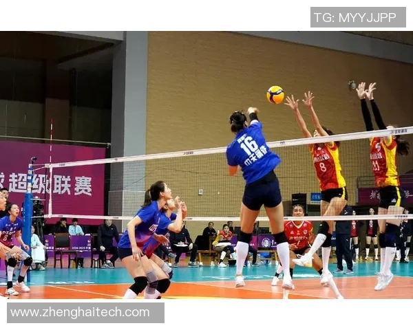 排球力量排行榜：南京排球队位居第6名