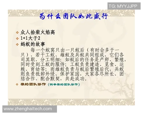 成都与南京乒乓球队赛后复盘分析团队协作与战术执行的成功与不足 成都与南京乒乓球队赛后复盘分析团队协作与战术执行的成功与不足