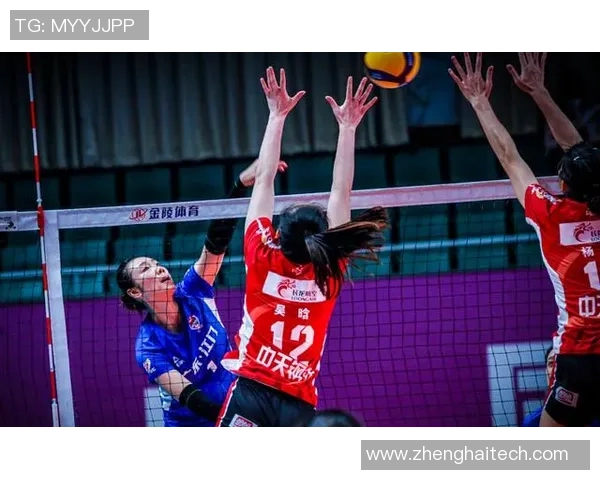 杭州排球队的转型之路:从传统强队到现代化竞技的新篇章 杭州排球队的转型之路:从传统强队到现代化竞技的新篇章