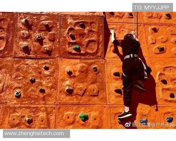 杨芳专访：细数网球生涯中的挑战与辉煌时刻